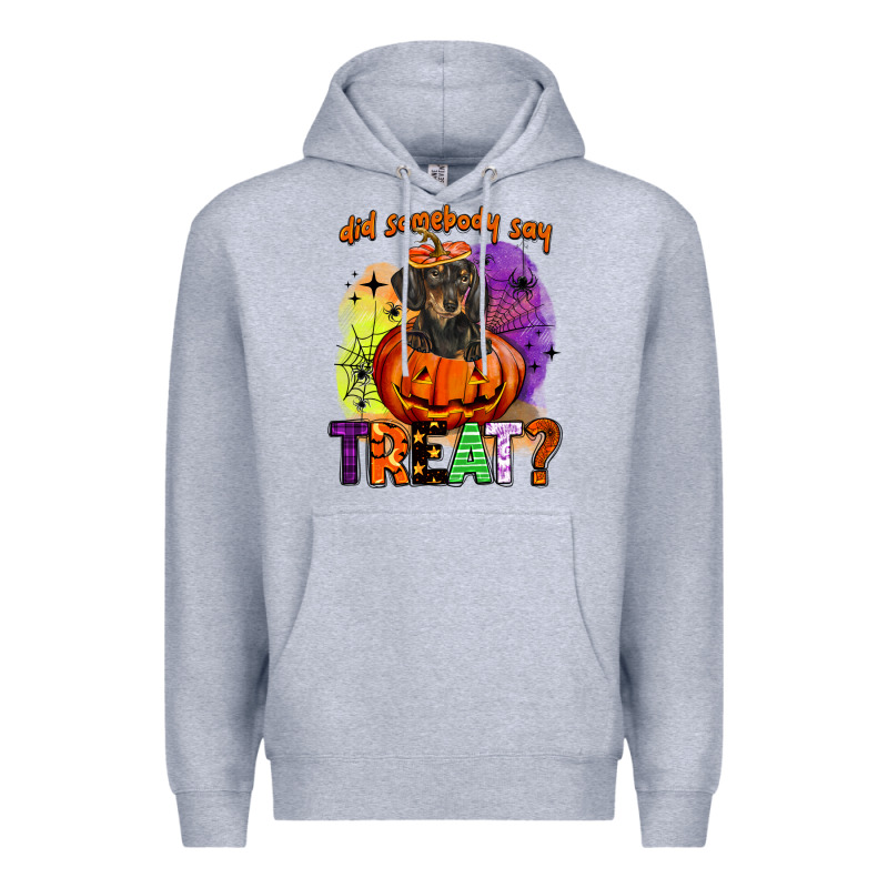 Did Somebody Say Treat Premium Hoodie by BarkalooDesign | Teevron