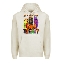 Oatmeal Heather did somebody say treat Premium Hoodie - BarkalooDesign