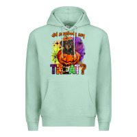 Seafoam did somebody say treat Premium Hoodie - BarkalooDesign