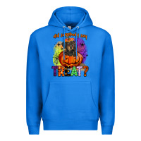 True Royal did somebody say treat Premium Hoodie - BarkalooDesign