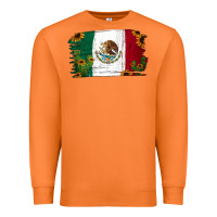 Carrot cactus sunflower mexican flag Premium Sweatshirt - Jasminsmagicworld