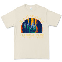 Bone redwood national park california retro vintage cam Premium Tee - DesignPulse