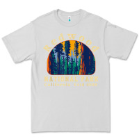Dove Grey redwood national park california retro vintage cam Premium Tee - DesignPulse