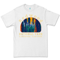 White redwood national park california retro vintage cam Premium Tee - DesignPulse