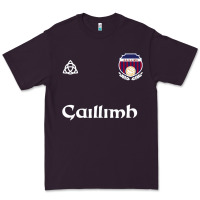 Galway Gaillimh Irish Gaelic Football And Hurling Premium Premium Tee | Teevron