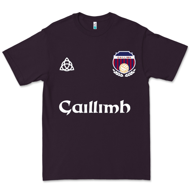 Galway Gaillimh Irish Gaelic Football And Hurling Premium Premium Tee by DesignPulse | Teevron