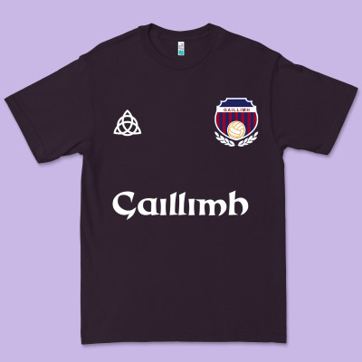 Galway Gaillimh Irish Gaelic Football And Hurling Premium Premium Tee Designed By Designpulse