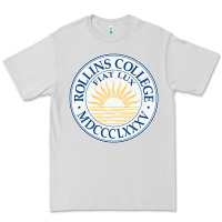 Dove Grey rollins college Premium Tee - PixelWave
