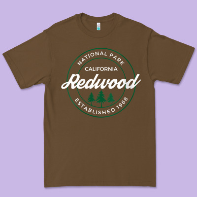 Womens Redwood National Park California Gifts Souvenir Ca V Neck T Shi Premium Tee Designed By Craftify