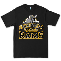 Black framingham state Premium Tee - InspiraDesign