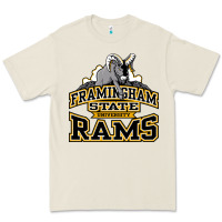 Bone framingham state Premium Tee - InspiraDesign