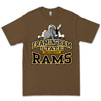 Cacao framingham state Premium Tee - InspiraDesign