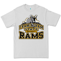 Dove Grey framingham state Premium Tee - InspiraDesign