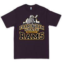 Plum framingham state Premium Tee - InspiraDesign