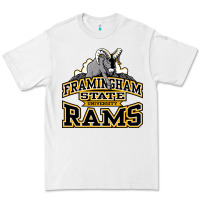 White framingham state Premium Tee - InspiraDesign