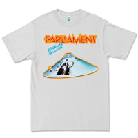 Dove Grey parliament Premium Tee - ArtChic