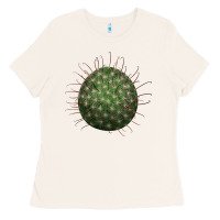 Bone Arizona Fishhook Cactus Ladies Tee - LillyAllenDesigns
