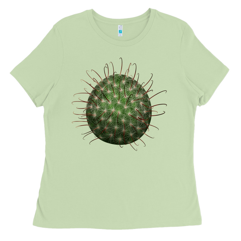 Arizona Fishhook Cactus Ladies Tee by LillyAllenDesigns | Teevron
