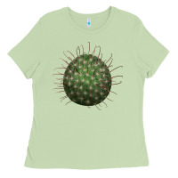 Matcha Arizona Fishhook Cactus Ladies Tee - LillyAllenDesigns