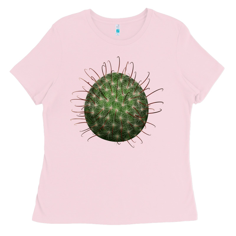 Arizona Fishhook Cactus Ladies Tee by LillyAllenDesigns | Teevron