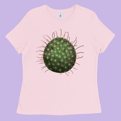 Arizona Fishhook Cactus Ladies Tee Designed By Lillyallendesigns