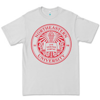 Dove Grey Northeastern University Premium Tee - ArtChic