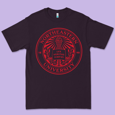 Northeastern University Premium Tee Designed By Artchic