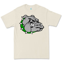 Bone ashville high school, ashville bulldogs Premium Tee - PixelFlow