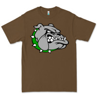 Cacao ashville high school, ashville bulldogs Premium Tee - PixelFlow