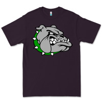 Plum ashville high school, ashville bulldogs Premium Tee - PixelFlow