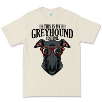 Bone greyhound t  shirt greyhound t  shirt (3) Premium Tee - PixelFlow