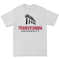 Dove Grey transylvania university Premium Tee - PixelFlow