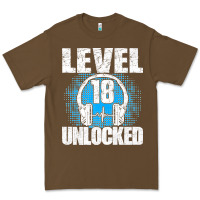 Level 18 Unlocked Birthday 18 Years Gamer Premium T Shirt Premium Tee | Teevron