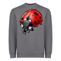 Storm ladybug Heavyweight Sweatshirt - Jasminsmagicworld
