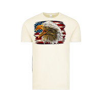 Vintage Arctic Western American Flag Eagle Vintage Tee - LillyAllenDesigns