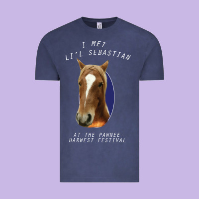 I Met Lil Sebastian Vintage Tee Designed By Bettercallsaul