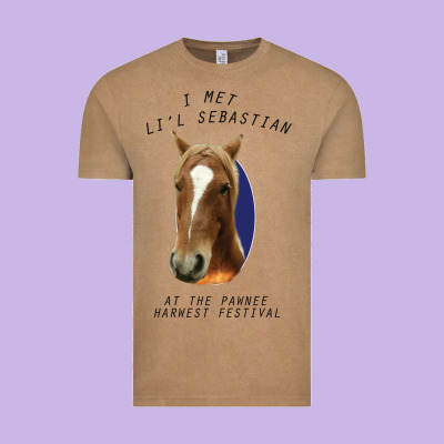I Met Lil Sebastian Vintage Tee Designed By Bettercallsaul