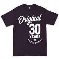 Plum 30 Year Old Gift | 30th Birthday Gift Ideas - Mens and Womens Premium Tee - artisFamous