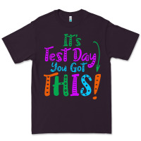 Plum it's test day you got this Premium Tee - artisFamous