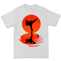 Dove Grey karate and kung fu Premium Tee - artisFamous