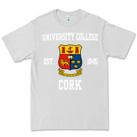 Dove Grey university college cork Premium Tee - artisFamous