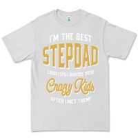 Dove Grey I'm The Best Stepdad | Father's Day Premium Tee - artisFamous