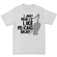 Dove Grey i just really like pelicans okay Premium Tee - artisFamous