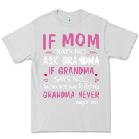 Dove Grey if mom says no ask grandma if grandma says no Premium Tee - artisFamous