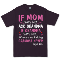 If Mom Says No Ask Grandma If Grandma Says No Premium Tee | Teevron