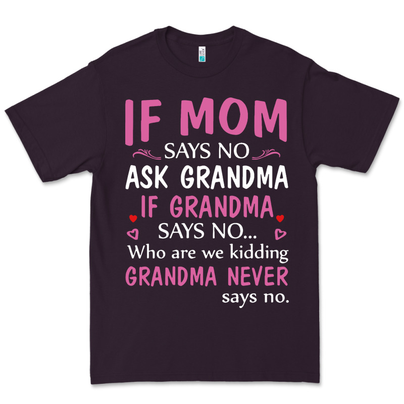 If Mom Says No Ask Grandma If Grandma Says No Premium Tee by artisFamous | Teevron