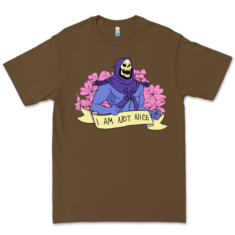 Vintage Skeletor ı Am Not Nice Premium Tee by artisFamous | Teevron