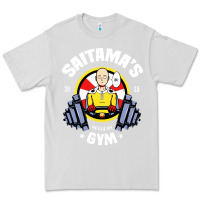 Dove Grey anime gym Premium Tee - artisFamous