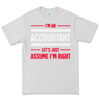 Dove Grey funny accounting design   gift for accountants Premium Tee - artisFamous