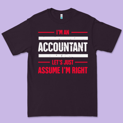 Funny Accounting Design   Gift For Accountants Premium Tee Designed By Artisfamous